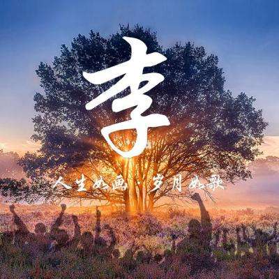 张雪峰医疗文件疑遭泄露？苏州市卫生健康委员会：已关注到此事并在处理